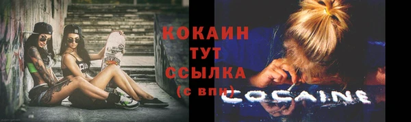 индика Липки