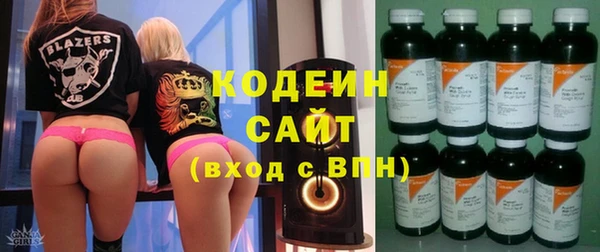 индика Липки