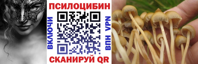 Галлюциногенные грибы ЛСД  Купить  Нюрба 